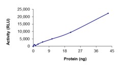 Sino Biological&nbsp;Recombinant Human EGFR Protein (d746-750 L718Q T790M, GST Tag), Active